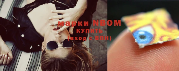 ECSTASY Алзамай