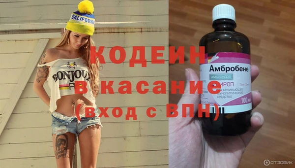 ECSTASY Алзамай