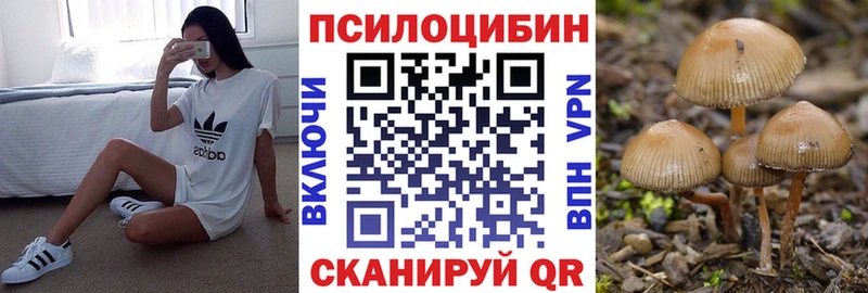 Галлюциногенные грибы мицелий  Братск 