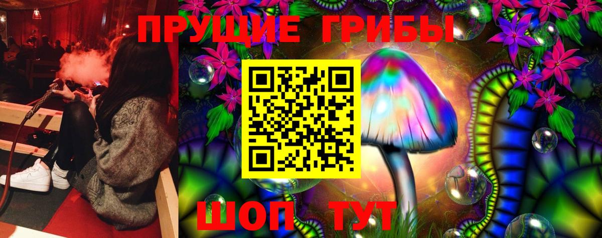 Псилоцибиновые грибы мицелий Братск