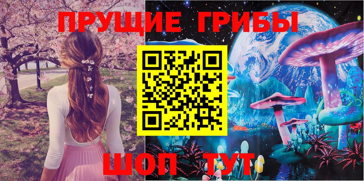 Галлюциногенные грибы MAGIC MUSHROOMS  Вход с VPN  Братск  Псилоцибиновые грибы Cubensis 